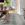 Снимок комнаты с комбинацией виниловых полов LayRed Wood и LayRed Stone - быстрая, простая и надежная система защелкивания - система защелкивания под углом Uniclic
